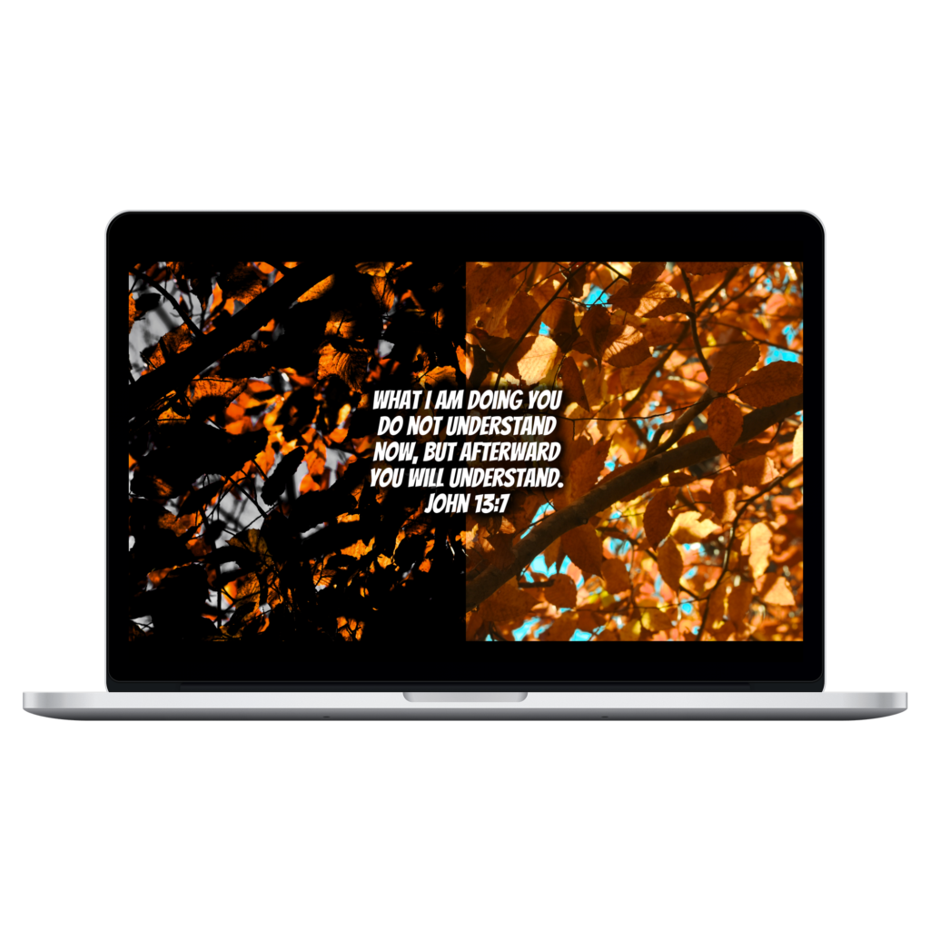 Luke 2:10-11 John 13:7