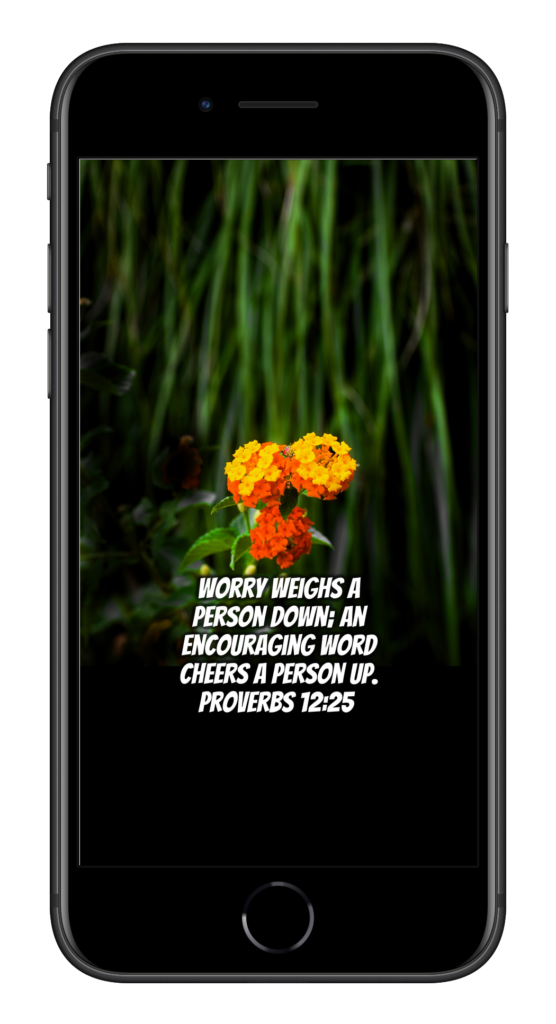 Proverbs 12:25