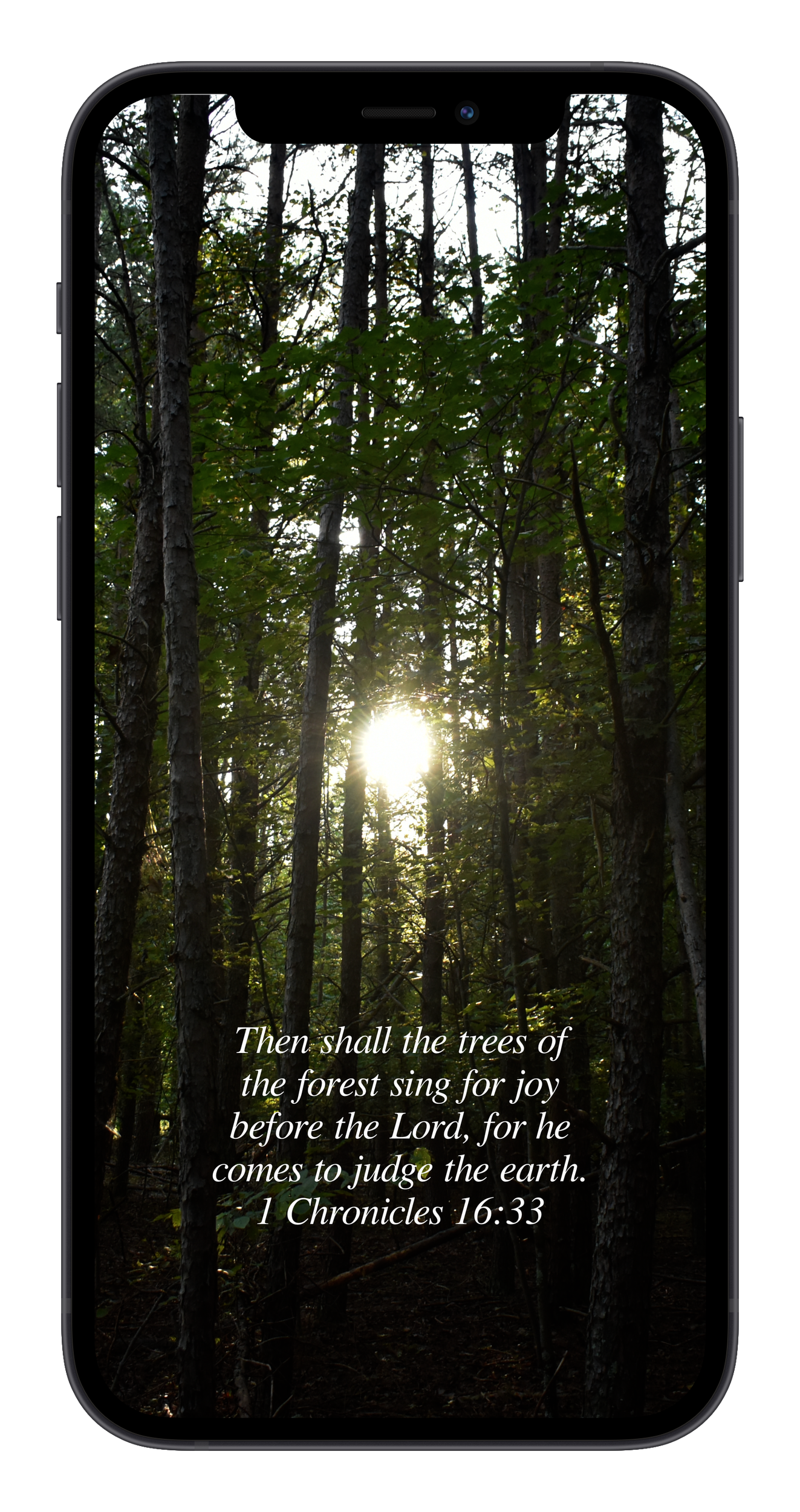 1 Chronicles 16:33 by Biblical Wallpapers | Weekly Biblical Encouragement, Cas Medlin, WBE, Biblical wallpapers, Biblical wallpaper, Bible Verse, Bible Verse images, Bible verse wallpaper, Free Biblical Wallpapers, Free Christian Wallpapers, Christian mobile wallpapers,   1 Chronicles 16:33,   bible,   bible verse,   Biblical,   Christian,   church,   cross,   earth,   forest,   god