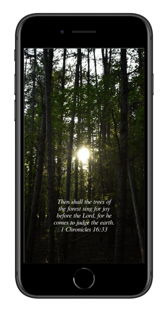 1 Chronicles 16:33 by Biblical Wallpapers 1 Chronicles 16:33 by Biblical Wallpapers