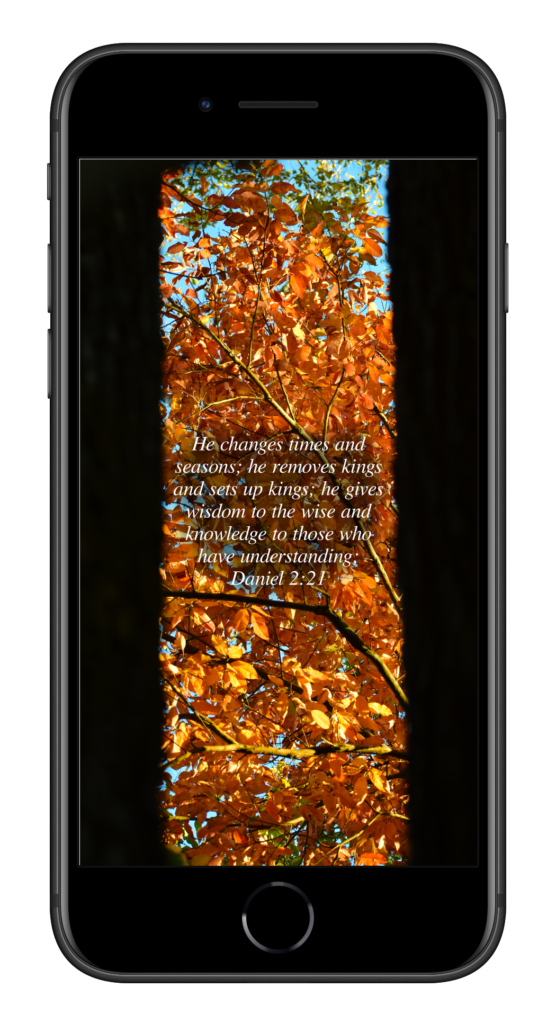 Daniel 2:21 by Biblical Wallpapers Daniel 2:21 by Biblical Wallpapers