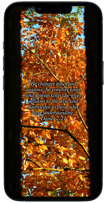 Daniel 2:21 by Biblical Wallpapers