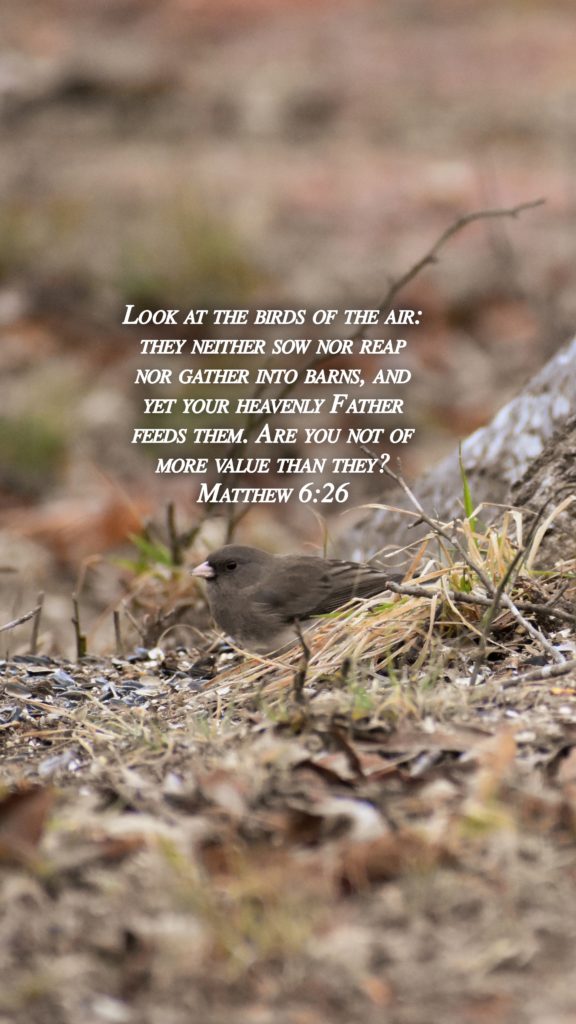 Matthew 6 26m