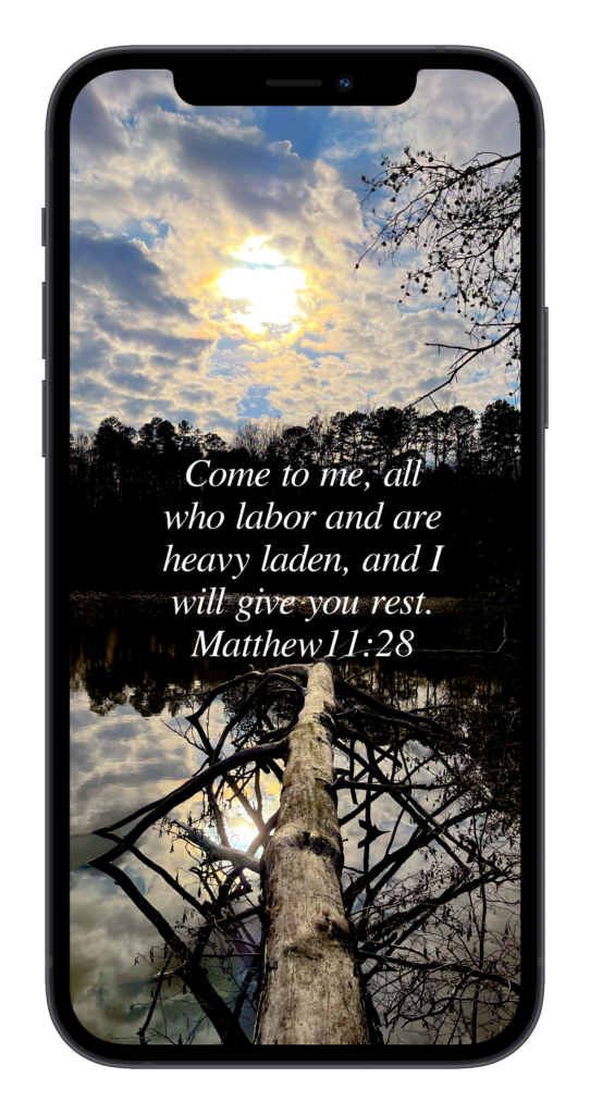 Matthew 11:28