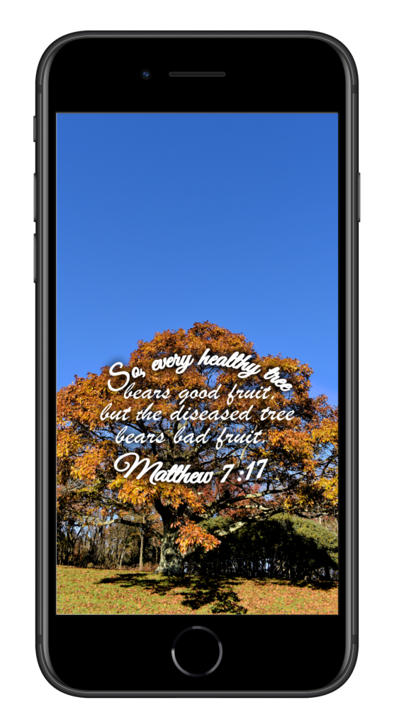 Matthew 7:17