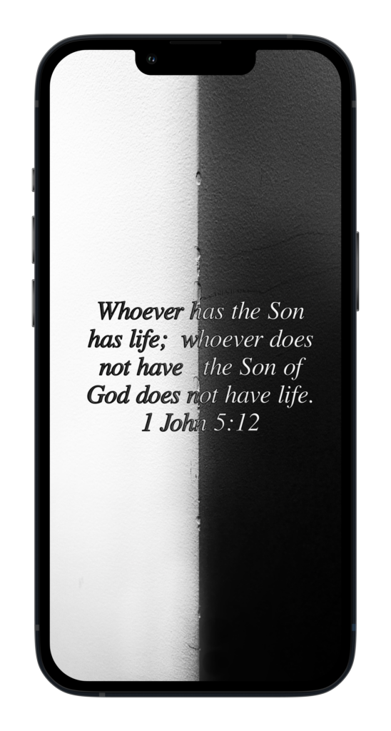 1John 5:12