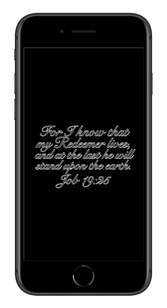 Job 19:25