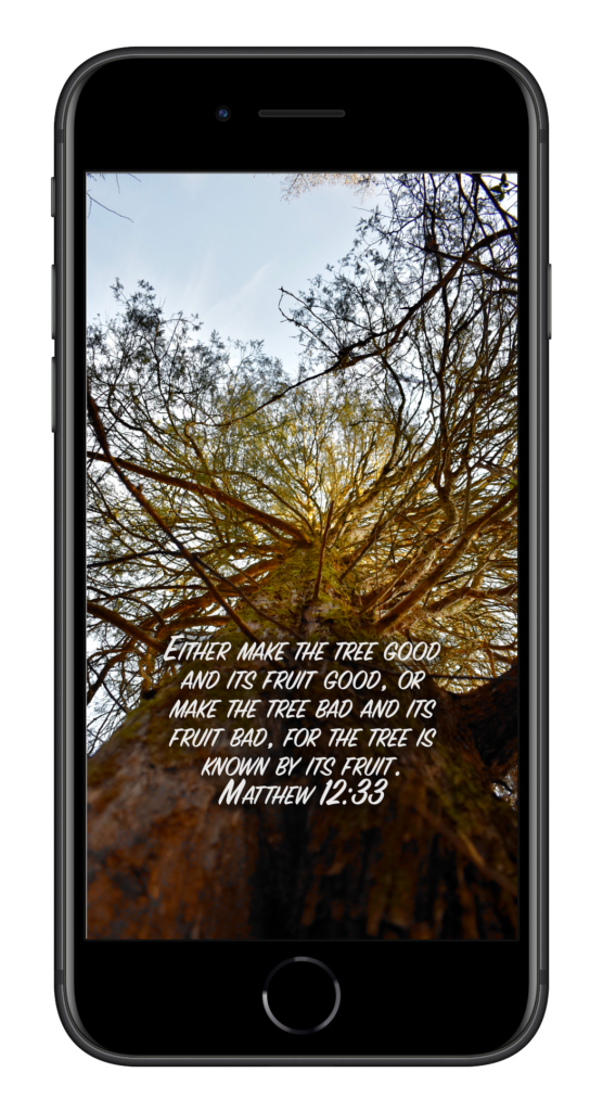 Matthew 12:33