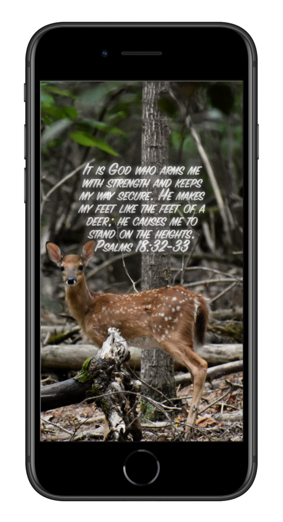 Psalms 18:32-33