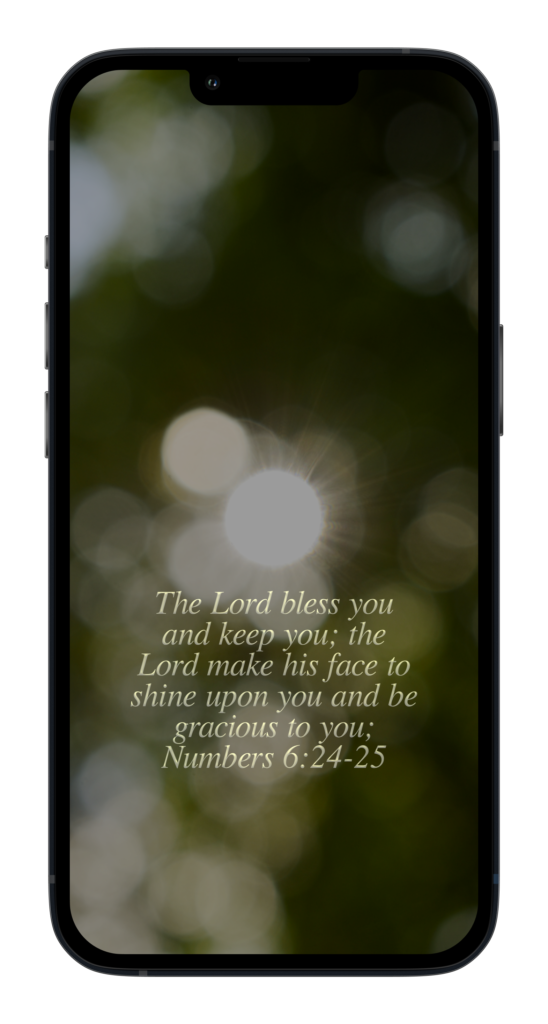 “The Lord bless you and keep you; the Lord make his face to shine upon you and be gracious to you;”
‭‭Numbers‬ ‭6:24-25‬ ‭