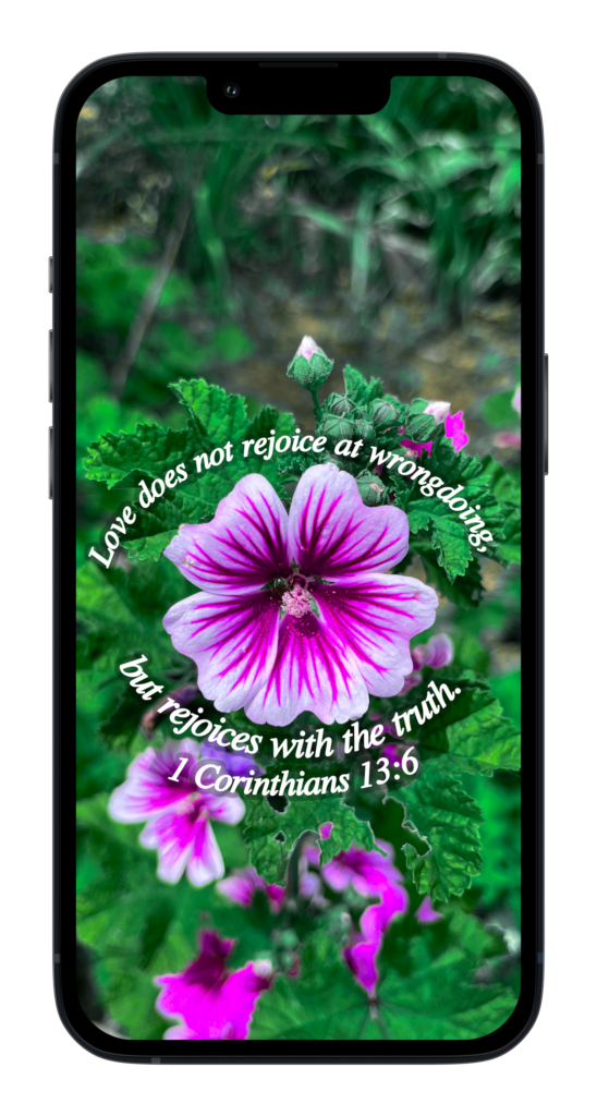 it does not rejoice at wrongdoing, but rejoices with the truth. ‭‭1 Corinthians‬ ‭13:6