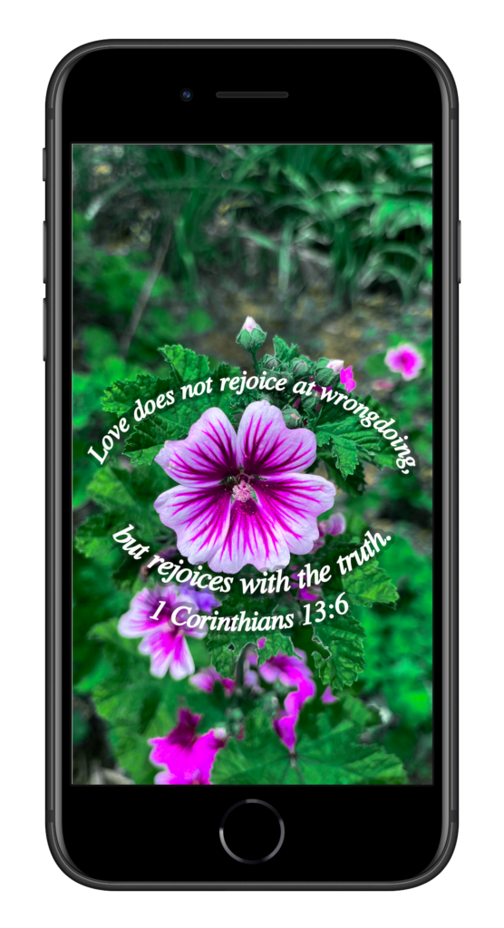 1 Corinthians 13:6