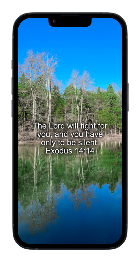 The Lord will fight for you, and you have only to be silent.  ‭‭Exodus‬ ‭14:14‬ ‭