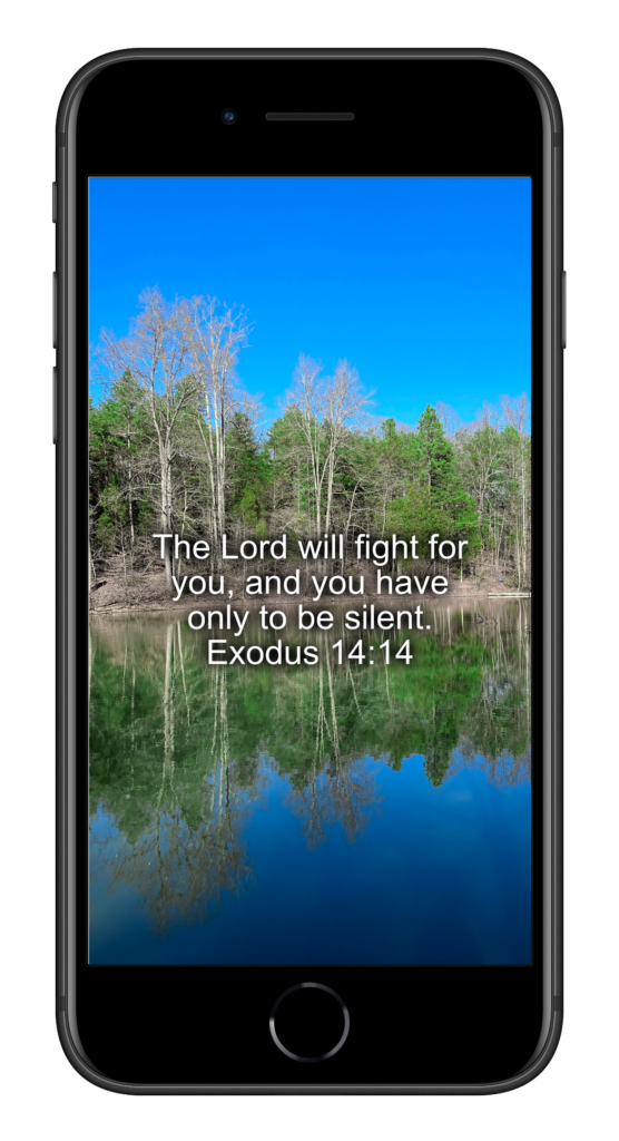 Exodus 14:14
