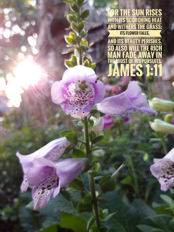 James 1 11