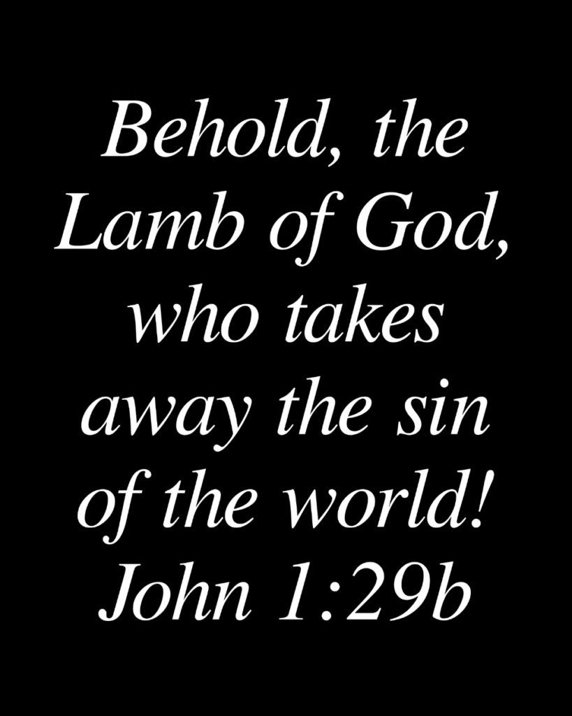 John 1:29b
