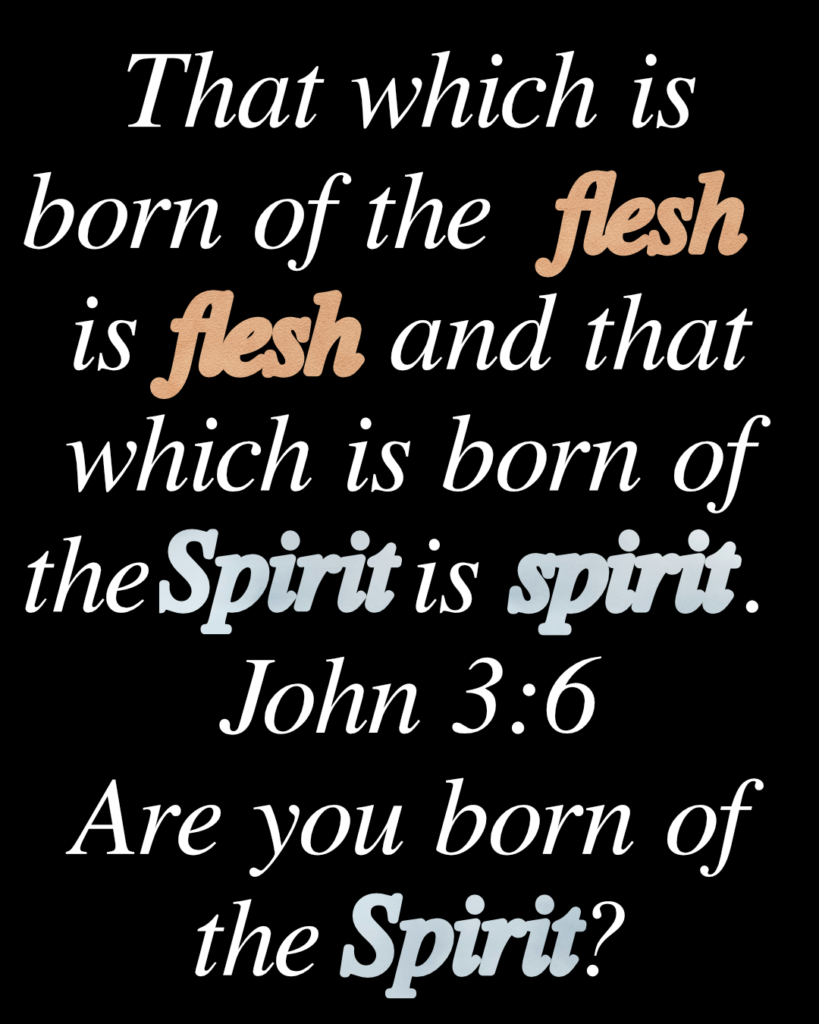 John 3:6