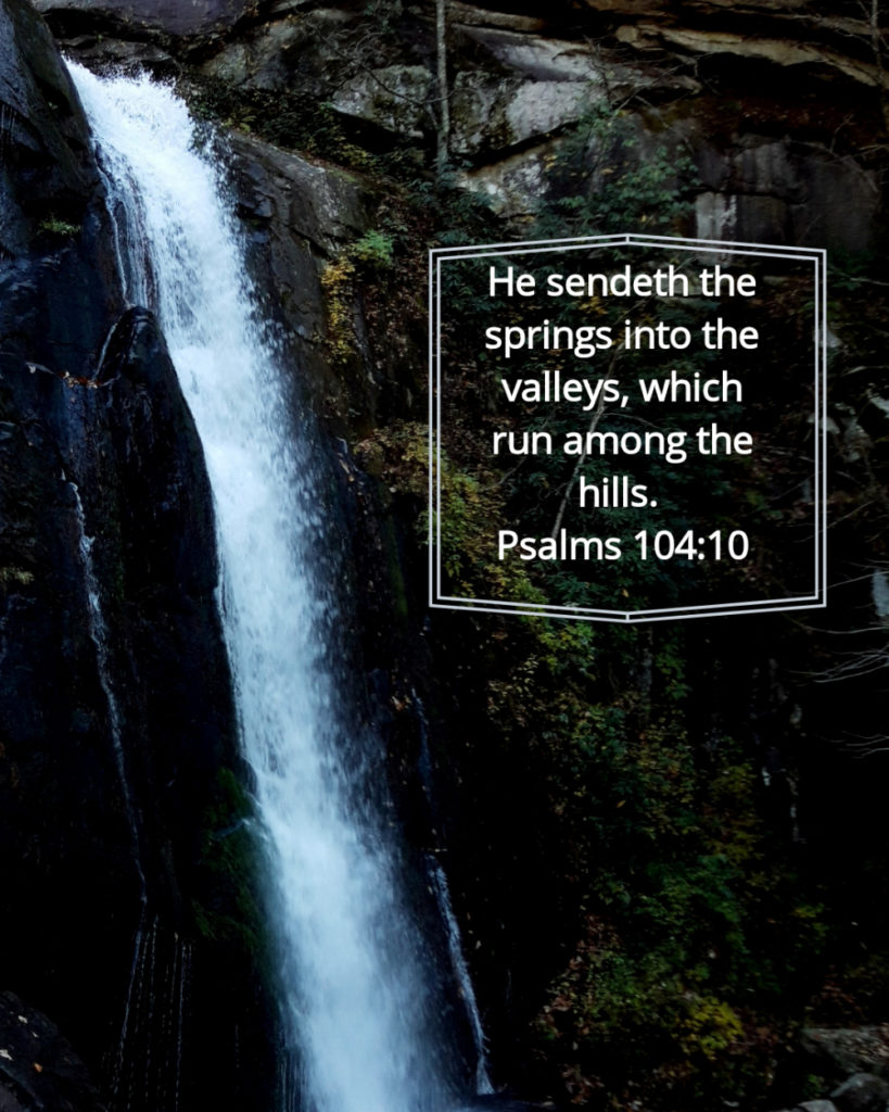 Psalms 104 10