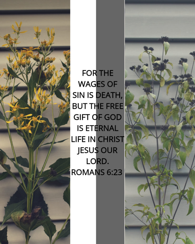Romans 6 23
