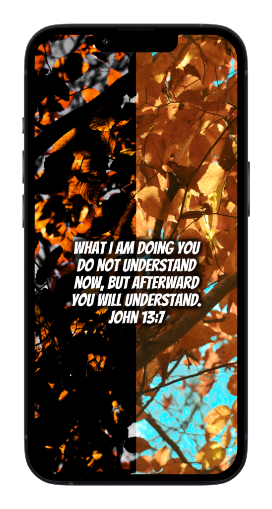 “Jesus answered him, “What I am doing you do not understand now, but afterward you will understand.””
‭‭John‬ ‭13:7‬